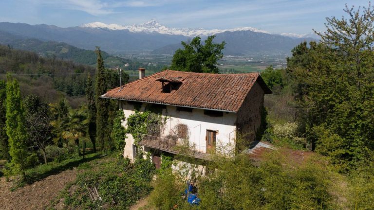 Parco con rustico nel cunese ricco di piante di bambù